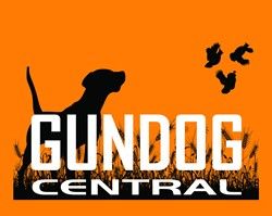 Gun Dog Central